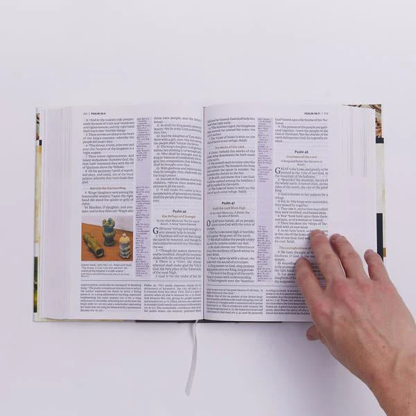 Product image 79